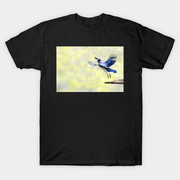 Spring! T-Shirt by LaurieMinor